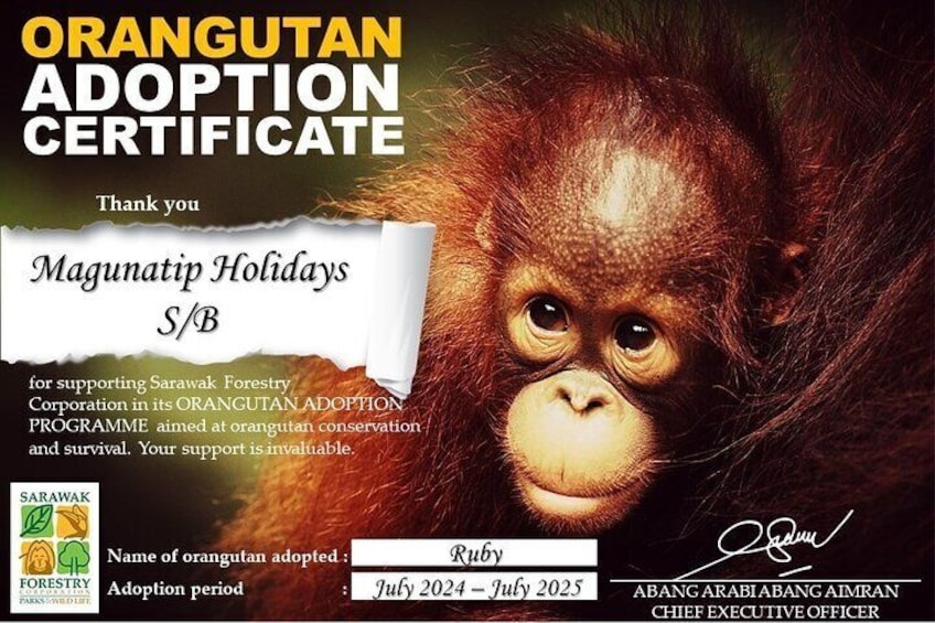 Semenggoh Orangutan Centre from Kuching
