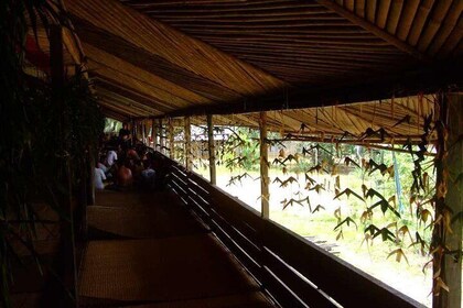 Half-Day Sarawak Bidayuh Longhouse Experience from Kuching City