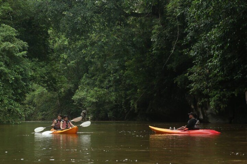 Semenggoh Orangutan with Rainforest Kayaking from Kuching