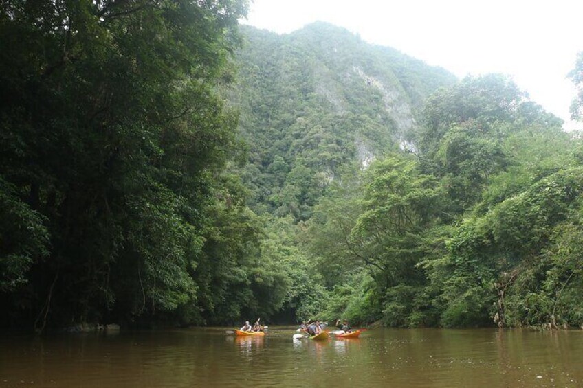 Semenggoh Orangutan with Rainforest Kayaking from Kuching