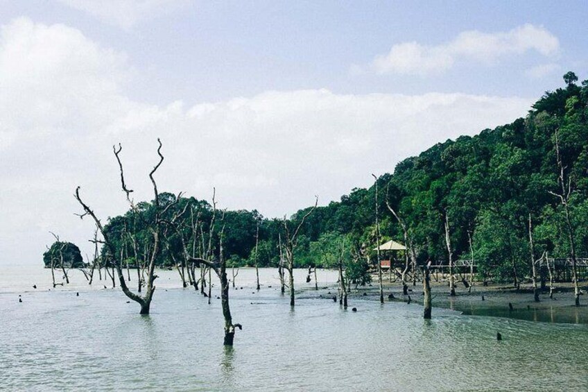 Bako National Park