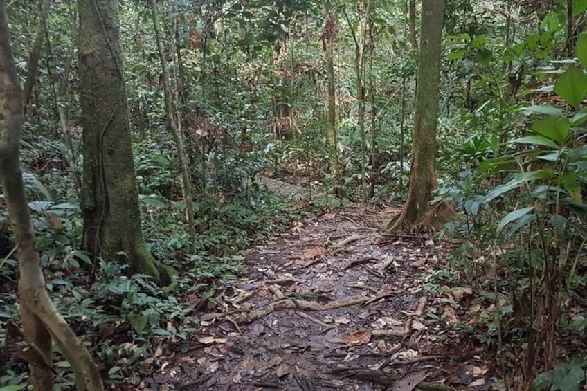 Kuching Kubah National Park