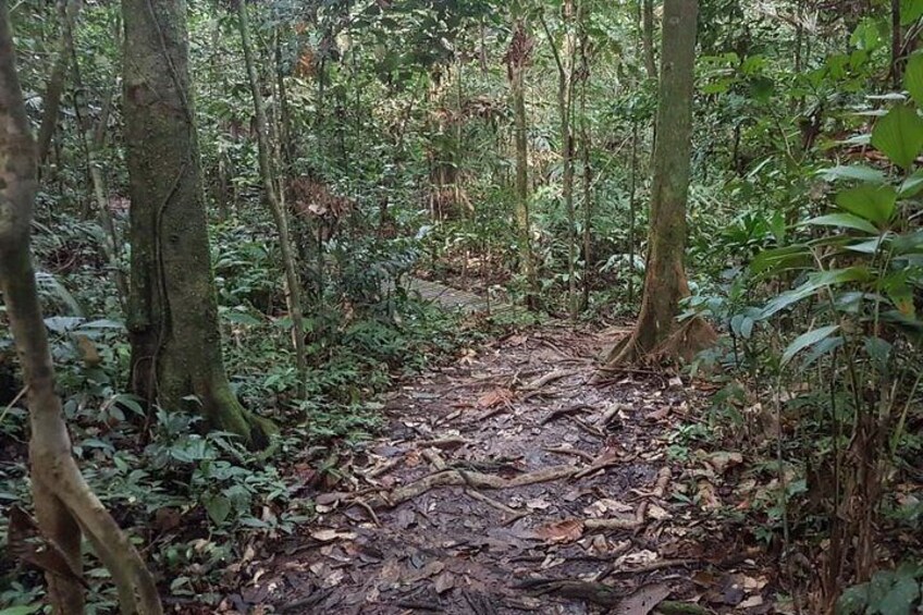 Kuching Kubah National Park