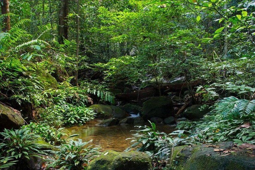 Kuching Kubah National Park