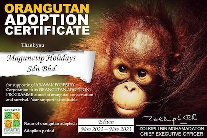 Kuching City Tour & Semenggoh Wildlife