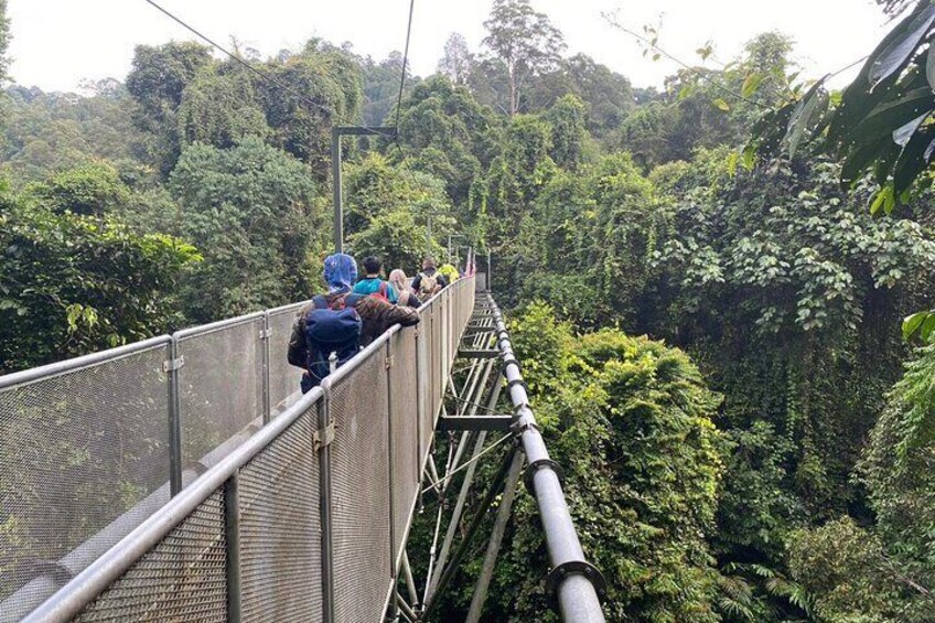 Whitewater Rafting & Tree Top Walk Sedim Riverside from Penang