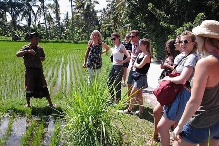 Bali Amazing Cooking Class