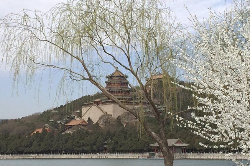 Spring in Summer Palace 