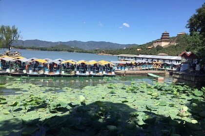 Private Summer Palace Walking Tour