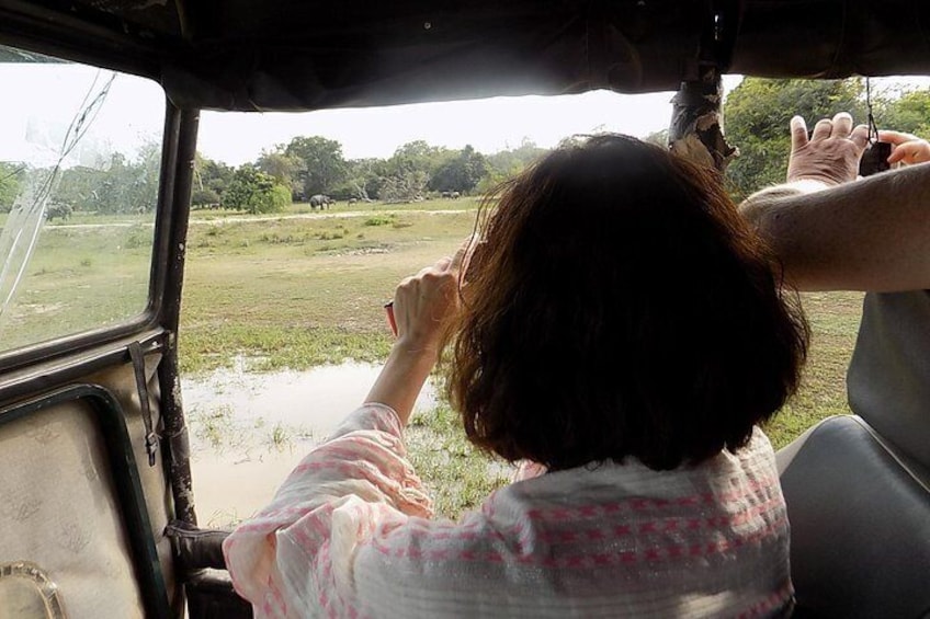 Kumana National Park Wildlife Safari