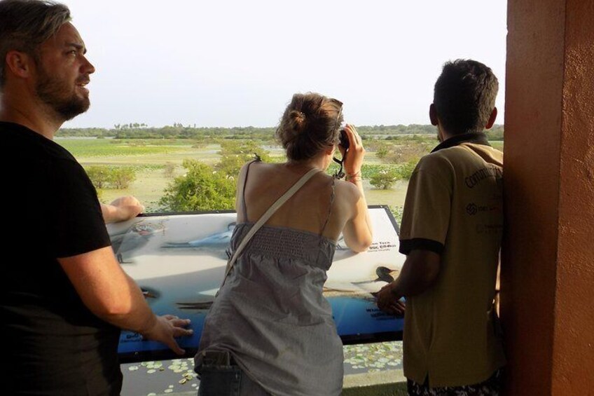 Kumana National Park Wildlife Safari