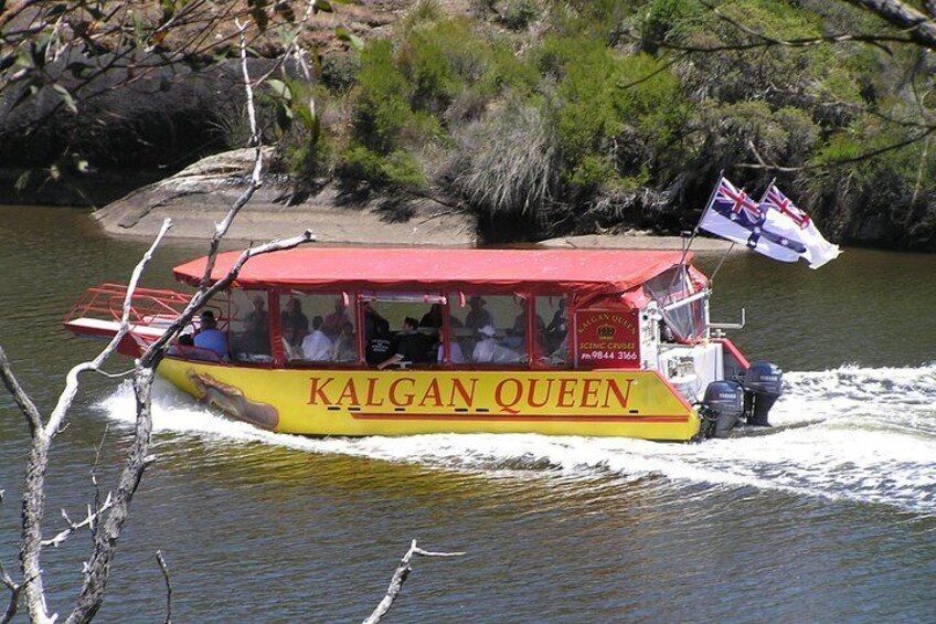 Kalgan Queen cruising.