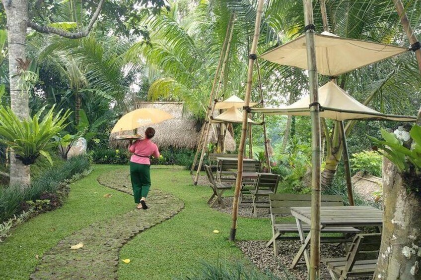 Jungle Restaurant