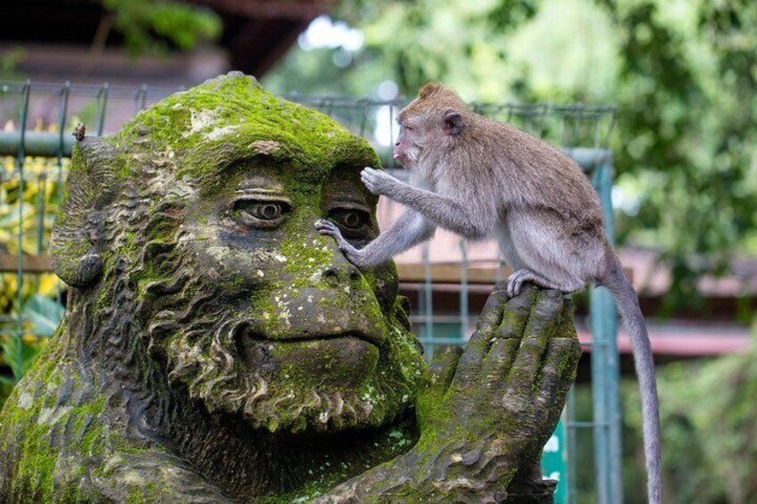 Ubud Sacred Monkey Forest