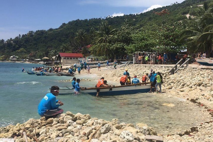 Whaleharks Interaction and Sardines Hunting in Pescador Island from Cebu City