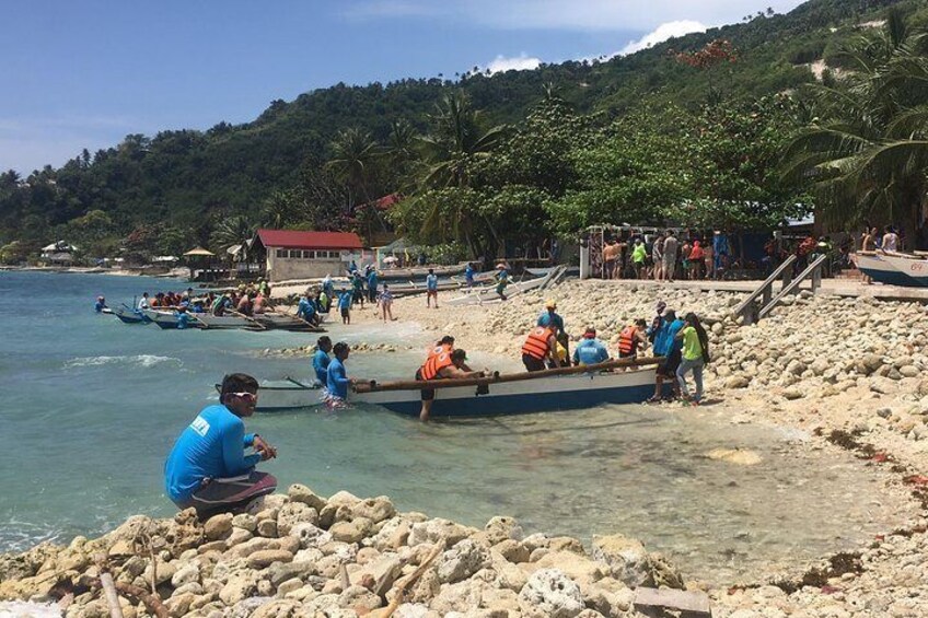 Whaleharks Interaction and Sardines Hunting in Pescador Island from Cebu City