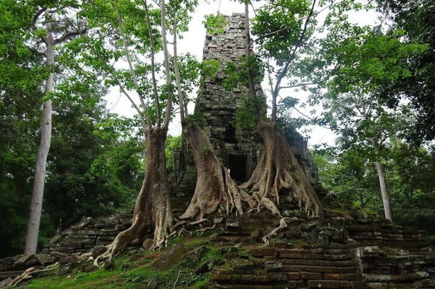 1-Day Amazing Angkor Wat Small Circuit Tour with Sunrise