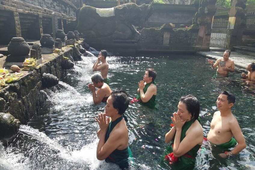 Bali Full Day Holy Water Tour