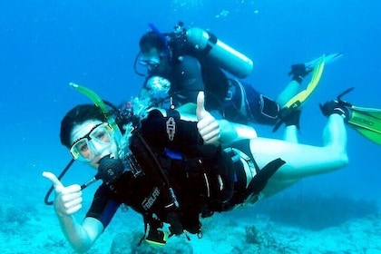 Pattaya PADI Beginner Scuba Diving One Try Dive Depth 6 Meters and Snorkeli...