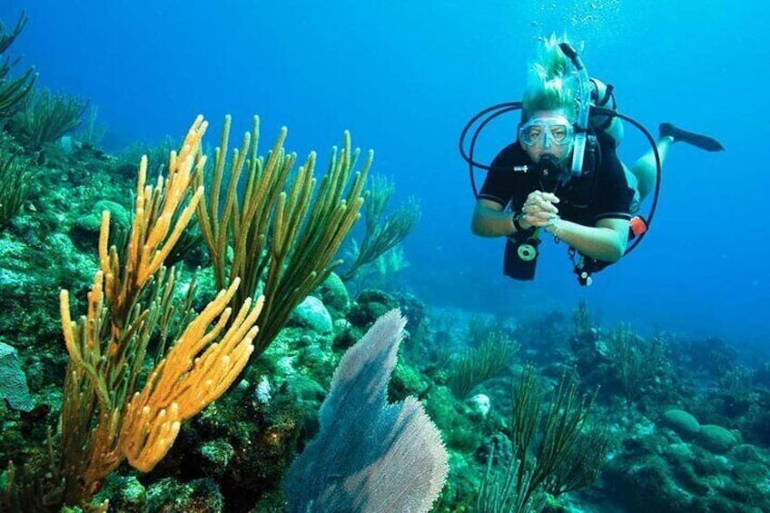 Pattaya PADI Scuba Diving Two Exciting Try Dives with PADI Instructor in Pattaya