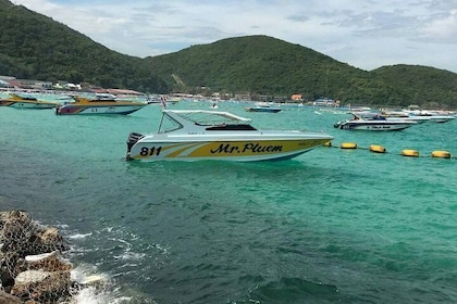 Pattaya: Coral Island Tour per speedboot met Indiase lunch en ophalen bij h...