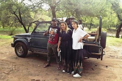 Excursión de un día a Ranthambore Tiger Safari desde Jaipur - Todo incluido