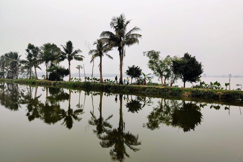 reflections in the walk