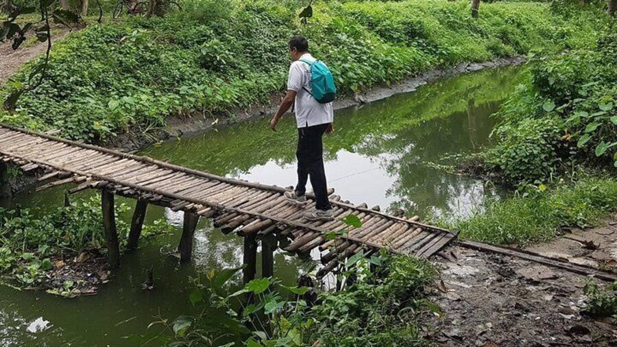 crossing a bamboo bridge