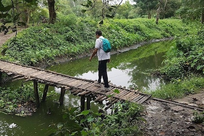 Walk the Kolkata Wetlands: Green Eye Sweets