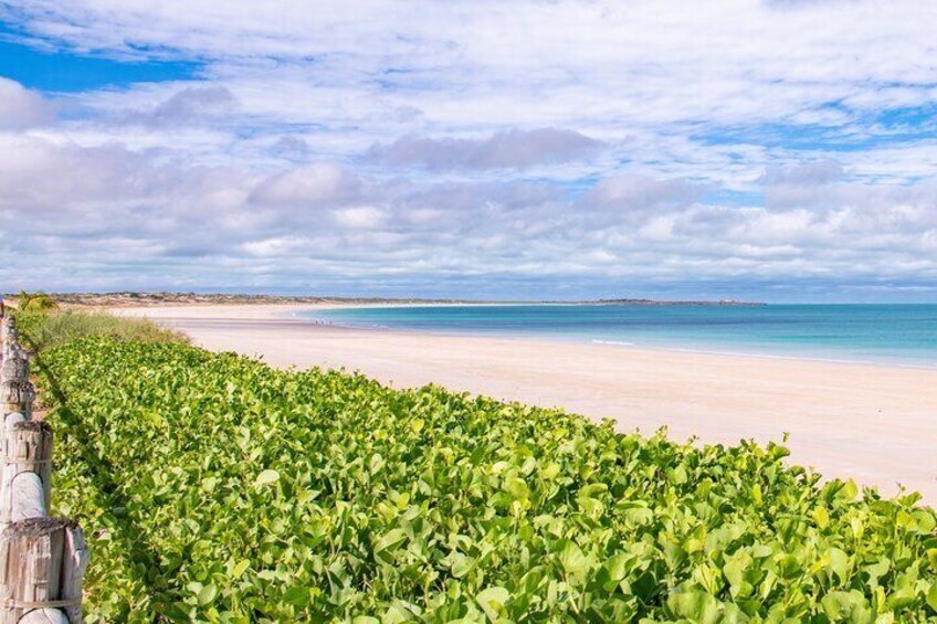 Eyes on the Horizon: Unveil the Majestic Views of Broome on Our Panoramic Town Tour