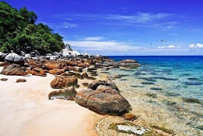 从岘港/会安出发的Cu Lao Cham岛之旅