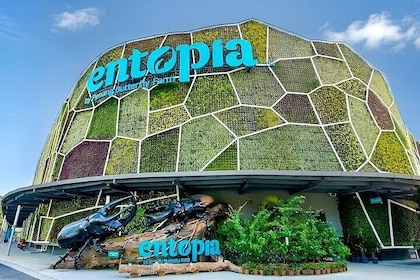 Penang City and Entopia Butterfly Farm Tour