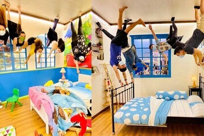 George Town Highlights & Upside Down Museum tours (5 Hours)