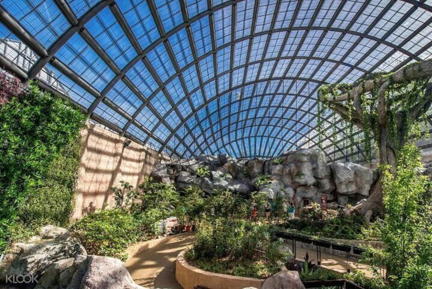 Entopia Butterfly Farm