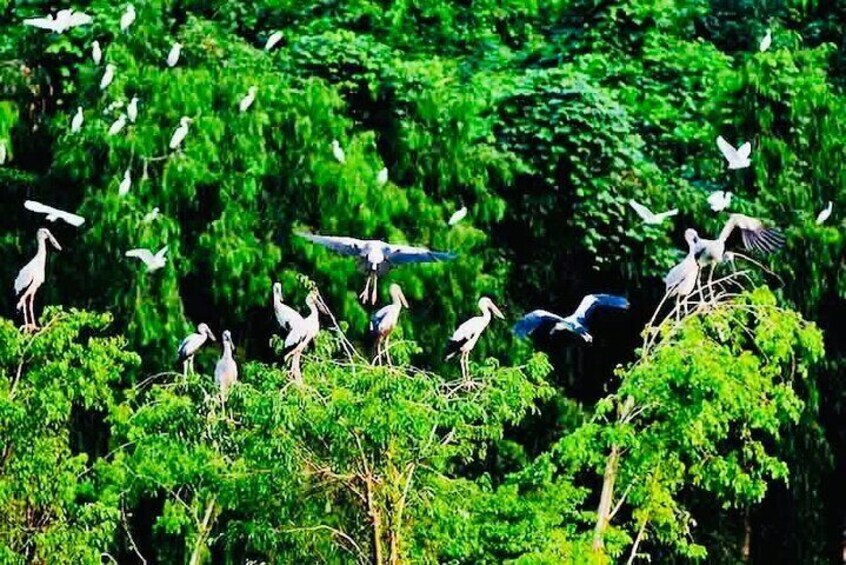 Lung Ngoc Hoang Nature Reservation