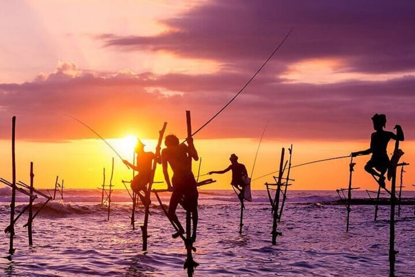 Weligama Stilt Fishermen