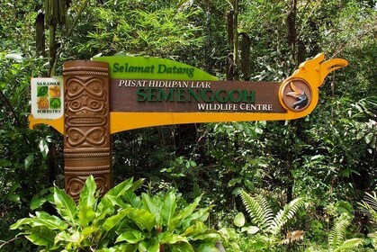 Kuching Semenggoh Wildlife Centre Tour