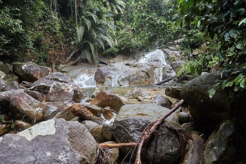 Gunung Gading National Park Tour