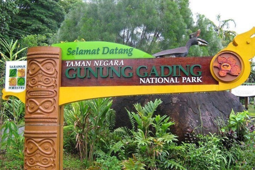 Gunung Gading National Park Tour