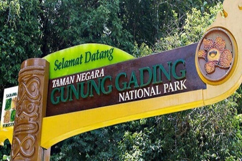 Gunung Gading National Park Tour