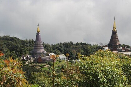 Wow! Doi Inthanon National Park Adventure, Lunch & Entry Included