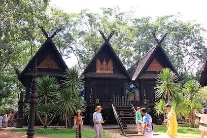 Chiang Rai Day Tour from Chiang Mai: White Temple & More w/ Lunch