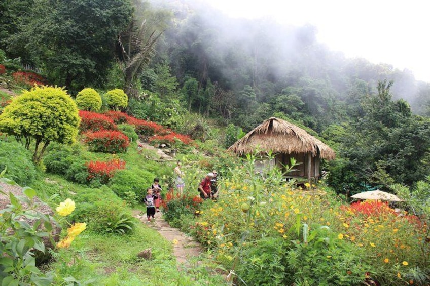 Private LandMark tour! Doi suthep+Hmong hilltribe + Umbrella village&Hot spring