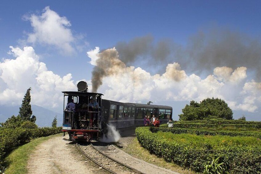 Eastern Himalaya(Darjeeling, Pelling, Gangtok & Kalimpong)from Bagdogra (7 Days)