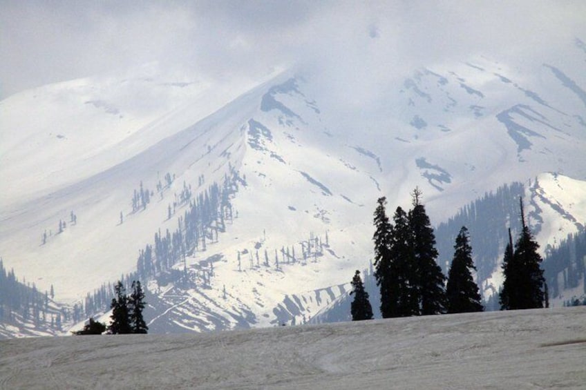 Laddakh The Dream Land with Valley of Kashmir & Taj (17 Days)