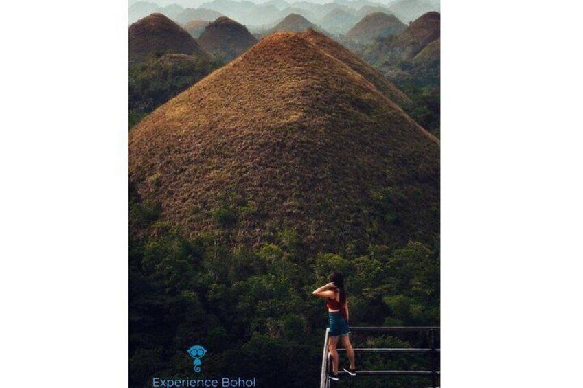 See the world-famous Chocolate Hills