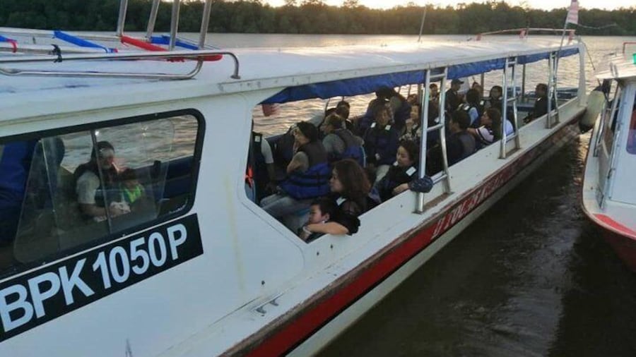 Taking a motor boat ride to watch the fireflies
