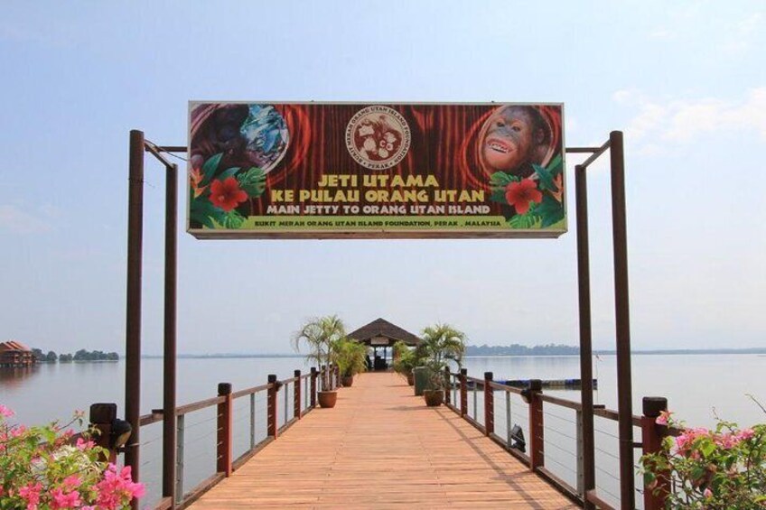 a boat trip to Orang utan Island