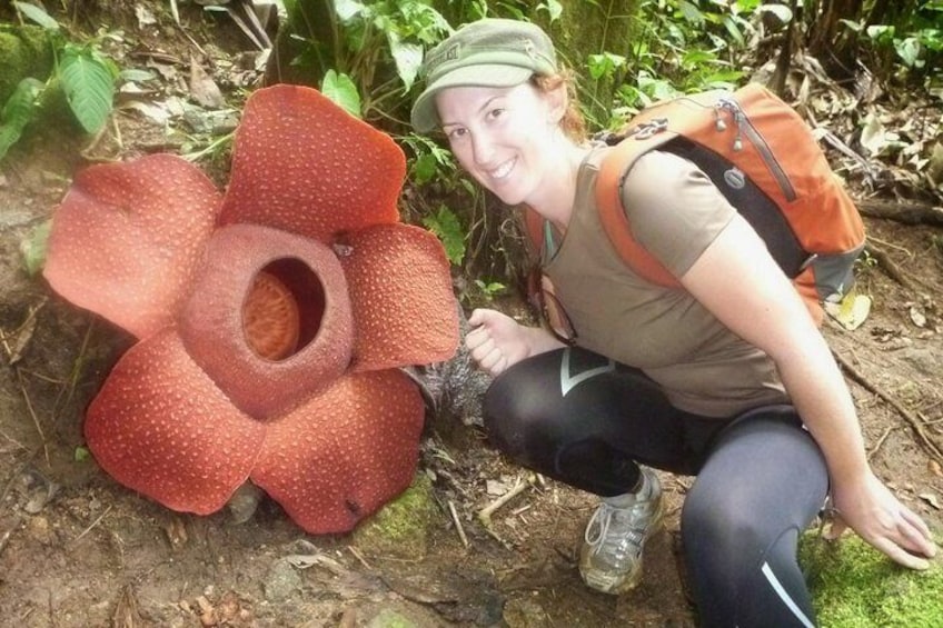 Taking photo with the Rafflesia flower