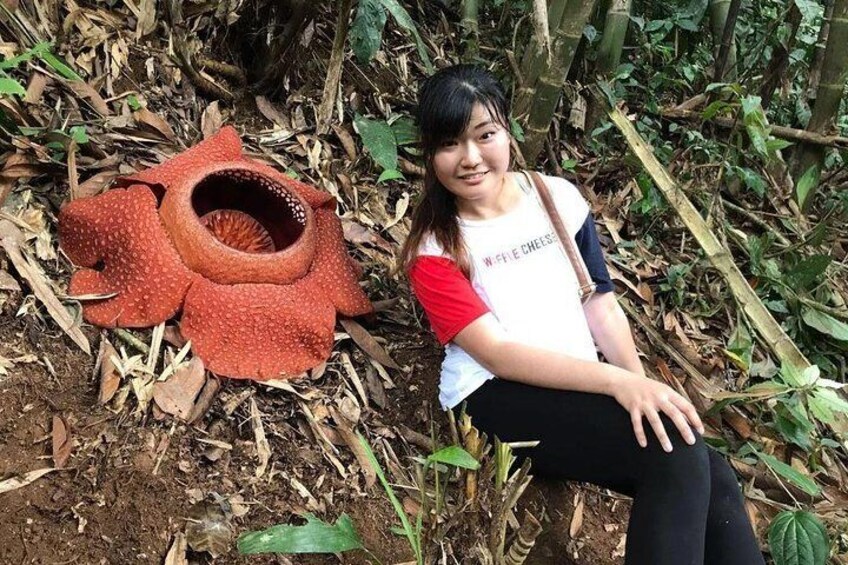 The Rafflesia Trek